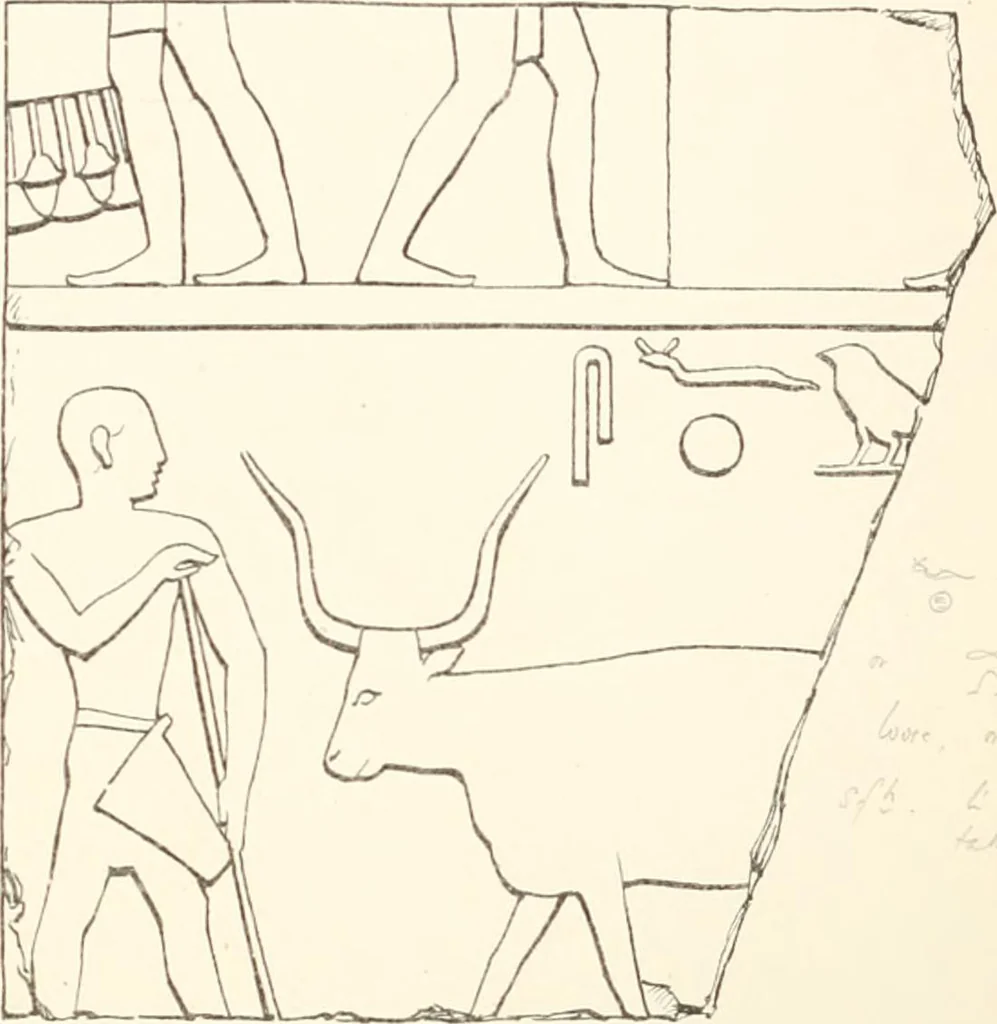 An illustration from Hieroglyphic texts from Egyptian stelae, etc, 1911, leaf 48
