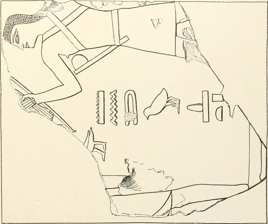 An illustration from Hieroglyphic texts from Egyptian stelae, etc, 1911, leaf 56