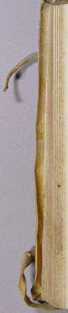 An illustration from Hieronymi Cardani Mediolanensis, medici, De subtilitate libri XXI, 1580, leaf 458