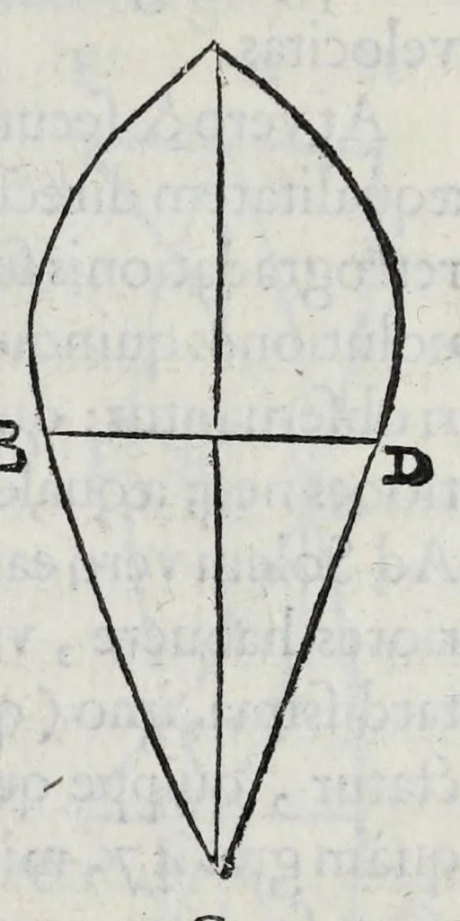 An illustration from Hieronymi Fracastorii veronensis Opera omnia : in vnum proxime post illius mortem collecta, quorum nomina sequens pagina plenius indicat. Accesservnt Andreae Navgerii patricii veneti Orationes duae, carminaq. nonnulla : amicorum cura ob id nuper simul impressa, ut eorum scripta, qui arcta inter se uiuentes necessitudine coniuncti fuerunt, in hominum quoque manus post eorum mortem iuncta pariter peruenirent, 1555, leaf 105