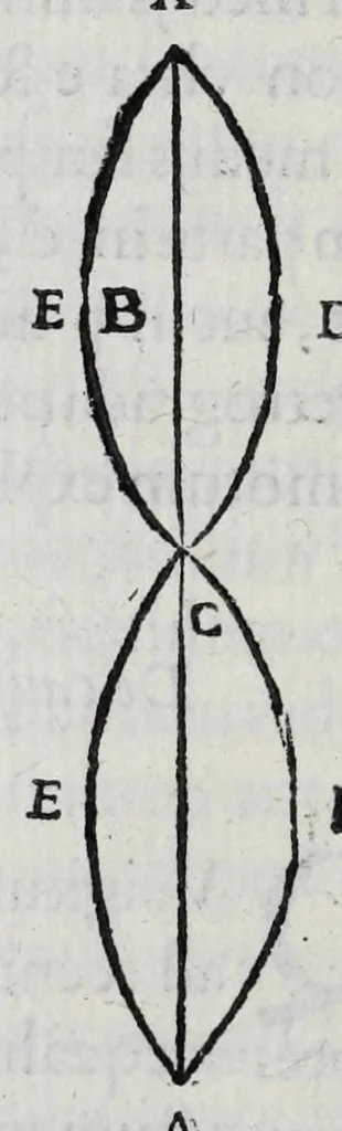 An illustration from Hieronymi Fracastorii veronensis Opera omnia : in vnum proxime post illius mortem collecta, quorum nomina sequens pagina plenius indicat. Accesservnt Andreae Navgerii patricii veneti Orationes duae, carminaq. nonnulla : amicorum cura ob id nuper simul impressa, ut eorum scripta, qui arcta inter se uiuentes necessitudine coniuncti fuerunt, in hominum quoque manus post eorum mortem iuncta pariter peruenirent, 1555, leaf 108