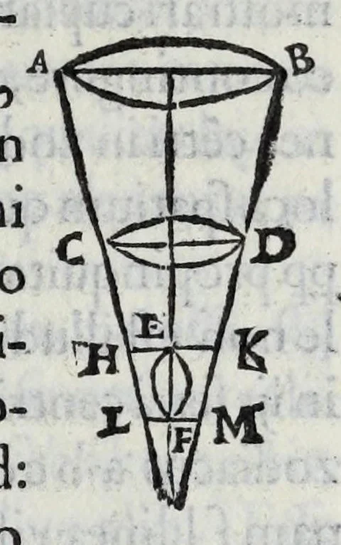 An illustration from Hieronymi Fracastorii veronensis Opera omnia : in vnum proxime post illius mortem collecta, quorum nomina sequens pagina plenius indicat. Accesservnt Andreae Navgerii patricii veneti Orationes duae, carminaq. nonnulla : amicorum cura ob id nuper simul impressa, ut eorum scripta, qui arcta inter se uiuentes necessitudine coniuncti fuerunt, in hominum quoque manus post eorum mortem iuncta pariter peruenirent, 1555, leaf 125