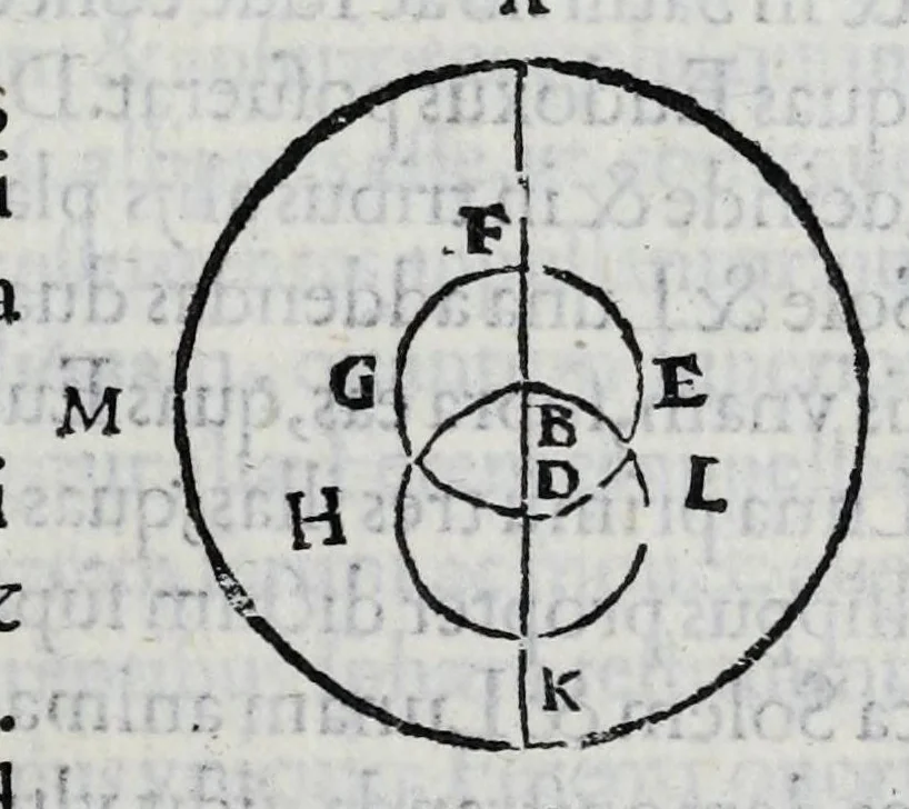 An illustration from Hieronymi Fracastorii veronensis Opera omnia : in vnum proxime post illius mortem collecta, quorum nomina sequens pagina plenius indicat. Accesservnt Andreae Navgerii patricii veneti Orationes duae, carminaq. nonnulla : amicorum cura ob id nuper simul impressa, ut eorum scripta, qui arcta inter se uiuentes necessitudine coniuncti fuerunt, in hominum quoque manus post eorum mortem iuncta pariter peruenirent, 1555, leaf 137