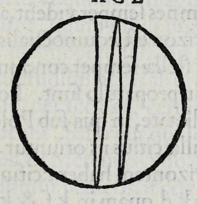An illustration from Hieronymi Fracastorii veronensis Opera omnia : in vnum proxime post illius mortem collecta, quorum nomina sequens pagina plenius indicat. Accesservnt Andreae Navgerii patricii veneti Orationes duae, carminaq. nonnulla : amicorum cura ob id nuper simul impressa, ut eorum scripta, qui arcta inter se uiuentes necessitudine coniuncti fuerunt, in hominum quoque manus post eorum mortem iuncta pariter peruenirent, 1555, leaf 41