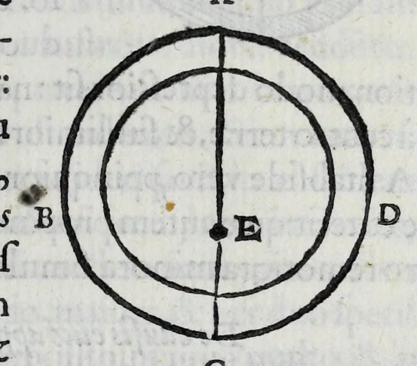 An illustration from Hieronymi Fracastorii veronensis Opera omnia : in vnum proxime post illius mortem collecta, quorum nomina sequens pagina plenius indicat. Accesservnt Andreae Navgerii patricii veneti Orationes duae, carminaq. nonnulla : amicorum cura ob id nuper simul impressa, ut eorum scripta, qui arcta inter se uiuentes necessitudine coniuncti fuerunt, in hominum quoque manus post eorum mortem iuncta pariter peruenirent, 1555, leaf 49
