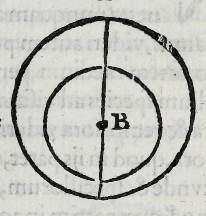 An illustration from Hieronymi Fracastorii veronensis Opera omnia : in vnum proxime post illius mortem collecta, quorum nomina sequens pagina plenius indicat. Accesservnt Andreae Navgerii patricii veneti Orationes duae, carminaq. nonnulla : amicorum cura ob id nuper simul impressa, ut eorum scripta, qui arcta inter se uiuentes necessitudine coniuncti fuerunt, in hominum quoque manus post eorum mortem iuncta pariter peruenirent, 1555, leaf 49