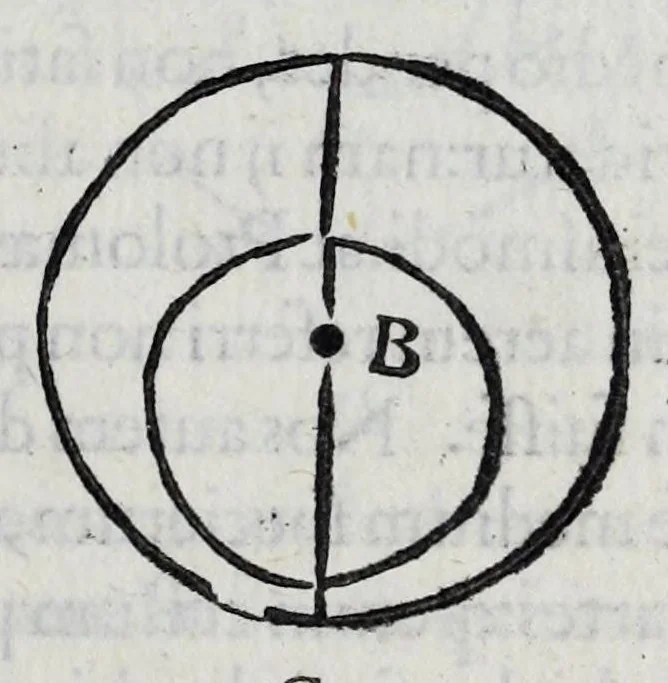 An illustration from Hieronymi Fracastorii veronensis Opera omnia : in vnum proxime post illius mortem collecta, quorum nomina sequens pagina plenius indicat. Accesservnt Andreae Navgerii patricii veneti Orationes duae, carminaq. nonnulla : amicorum cura ob id nuper simul impressa, ut eorum scripta, qui arcta inter se uiuentes necessitudine coniuncti fuerunt, in hominum quoque manus post eorum mortem iuncta pariter peruenirent, 1555, leaf 49