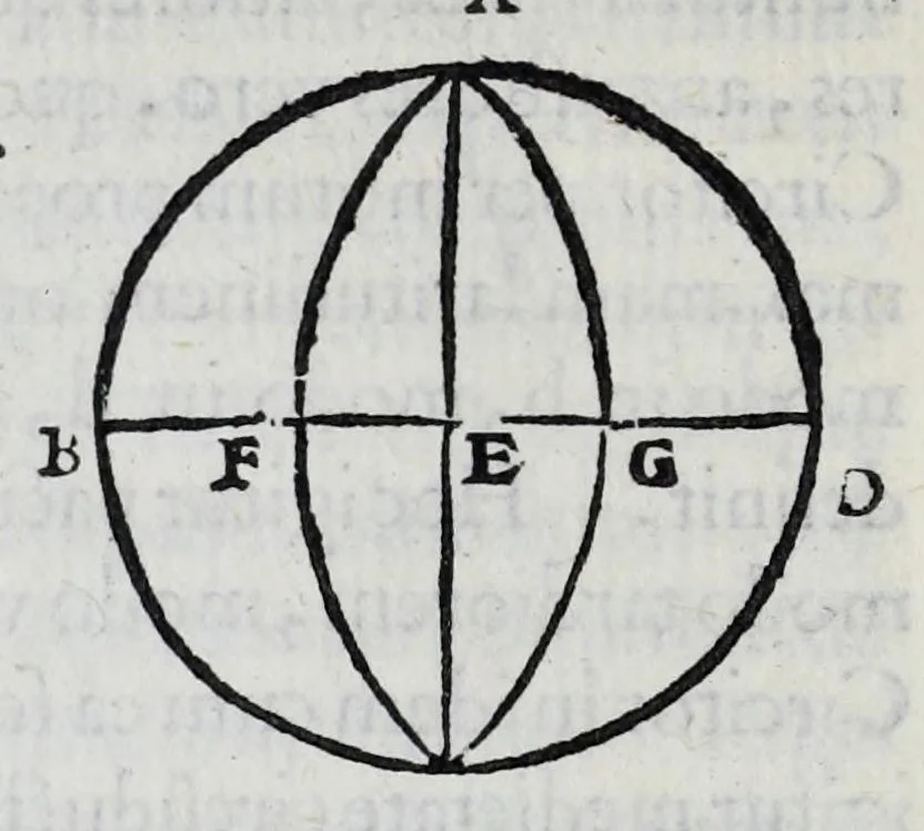 An illustration from Hieronymi Fracastorii veronensis Opera omnia : in vnum proxime post illius mortem collecta, quorum nomina sequens pagina plenius indicat. Accesservnt Andreae Navgerii patricii veneti Orationes duae, carminaq. nonnulla : amicorum cura ob id nuper simul impressa, ut eorum scripta, qui arcta inter se uiuentes necessitudine coniuncti fuerunt, in hominum quoque manus post eorum mortem iuncta pariter peruenirent, 1555, leaf 64