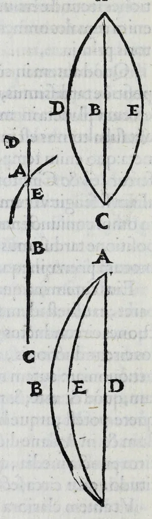 An illustration from Hieronymi Fracastorii veronensis Opera omnia : in vnum proxime post illius mortem collecta, quorum nomina sequens pagina plenius indicat. Accesservnt Andreae Navgerii patricii veneti Orationes duae, carminaq. nonnulla : amicorum cura ob id nuper simul impressa, ut eorum scripta, qui arcta inter se uiuentes necessitudine coniuncti fuerunt, in hominum quoque manus post eorum mortem iuncta pariter peruenirent, 1555, leaf 76