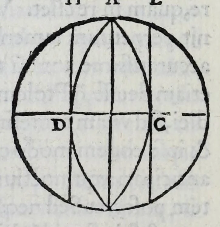 An illustration from Hieronymi Fracastorii veronensis Opera omnia : in vnum proxime post illius mortem collecta, quorum nomina sequens pagina plenius indicat. Accesservnt Andreae Navgerii patricii veneti Orationes duae, carminaq. nonnulla : amicorum cura ob id nuper simul impressa, ut eorum scripta, qui arcta inter se uiuentes necessitudine coniuncti fuerunt, in hominum quoque manus post eorum mortem iuncta pariter peruenirent, 1555, leaf 88