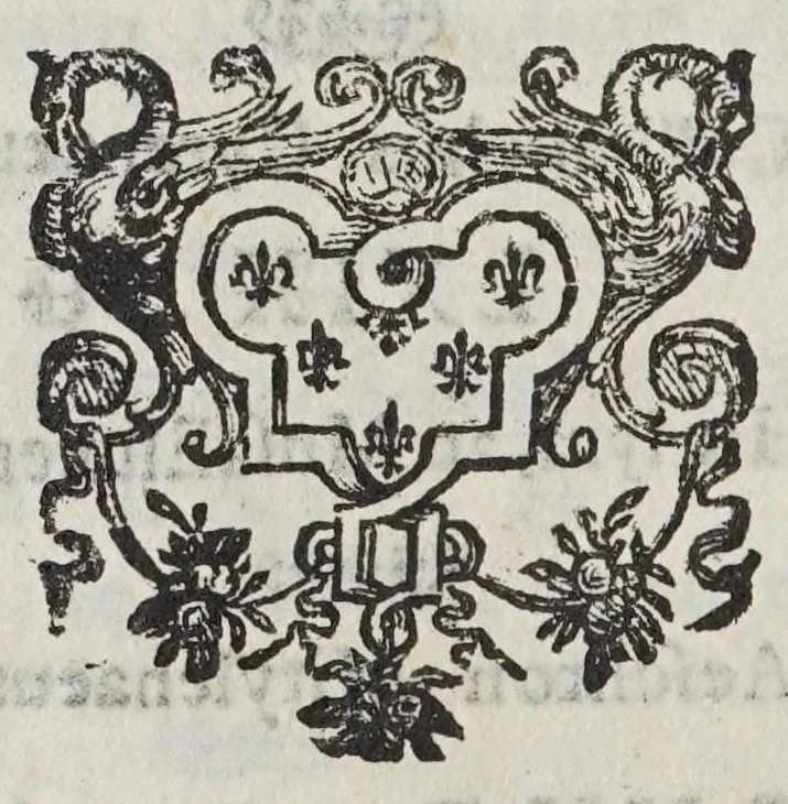 An illustration from Hieronymi Genuini Metamorphoses nominum, siue, Metatheses litterarum siue anagrammata : in quinque libros diuisa .., 1640, leaf 140