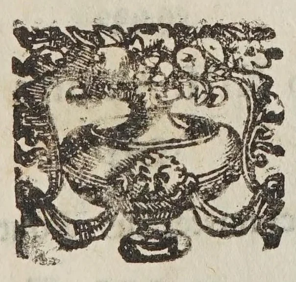 An illustration from Hieronymi Genuini Metamorphoses nominum, siue, Metatheses litterarum siue anagrammata : in quinque libros diuisa .., 1640, leaf 71
