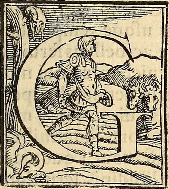 An illustration from Hieronymi Mercurialis Variarum lectionum libri quatuor : in quibus complurium, maximeq[ue] medicinae scriptorum infinita paenè loca vel corrupta restituuntur, vel obscura declarantur ; Alexandri Tralliani De lumbricis epistola, 1571, leaf 104