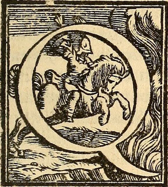 An illustration from Hieronymi Mercurialis Variarum lectionum libri quatuor : in quibus complurium, maximeq[ue] medicinae scriptorum infinita paenè loca vel corrupta restituuntur, vel obscura declarantur ; Alexandri Tralliani De lumbricis epistola, 1571, leaf 234