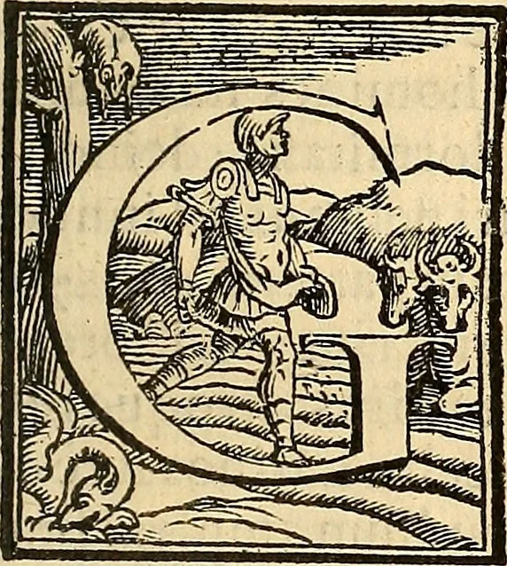 An illustration from Hieronymi Mercurialis Variarum lectionum libri quatuor : in quibus complurium, maximeq[ue] medicinae scriptorum infinita paenè loca vel corrupta restituuntur, vel obscura declarantur ; Alexandri Tralliani De lumbricis epistola, 1571, leaf 44