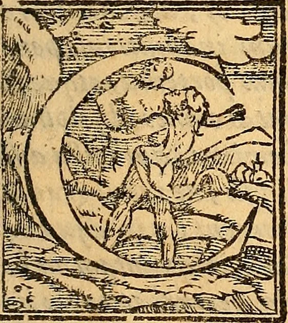 An illustration from Hieronymi Mercurialis Variarum lectionum libri quatuor : in quibus complurium, maximeq[ue] medicinae scriptorum infinita paenè loca vel corrupta restituuntur, vel obscura declarantur ; Alexandri Tralliani De lumbricis epistola, 1571, leaf 6