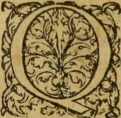 An illustration from Hieronymi Mercurialis Variarum lectionum, in medicinae scriptoribus et aliis, libri quinque priores, 1585, leaf 250
