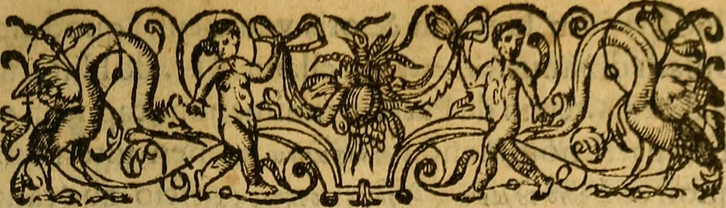 An illustration from Hieronymi Mercurialis Variarum lectionum, in medicinae scriptoribus et aliis, libri quinque priores, 1585, leaf 30