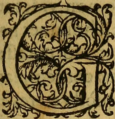An illustration from Hieronymi Mercurialis Variarum lectionum, in medicinae scriptoribus et aliis, libri quinque priores, 1585, leaf 30