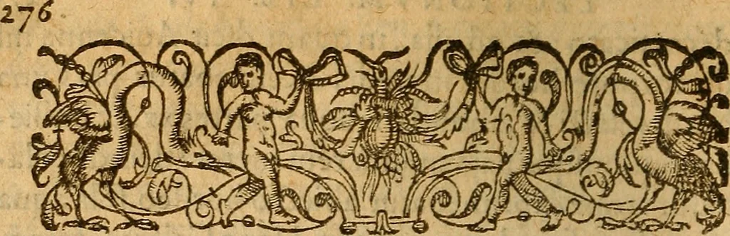 An illustration from Hieronymi Mercurialis Variarum lectionum, in medicinae scriptoribus et aliis, libri quinque priores, 1585, leaf 305
