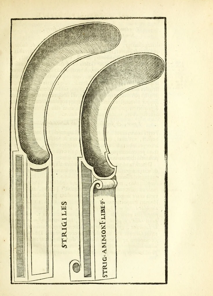 An illustration from Hieronymi Mercurialis Foroliviensis De arte gymnastica libri sex : in quibus exercitationum omnium vetustarum genera, loca, modi, facultates, & quidquid denique ad corporis humani exercitationes pertinet diligenter explicatur, 1672, leaf 53