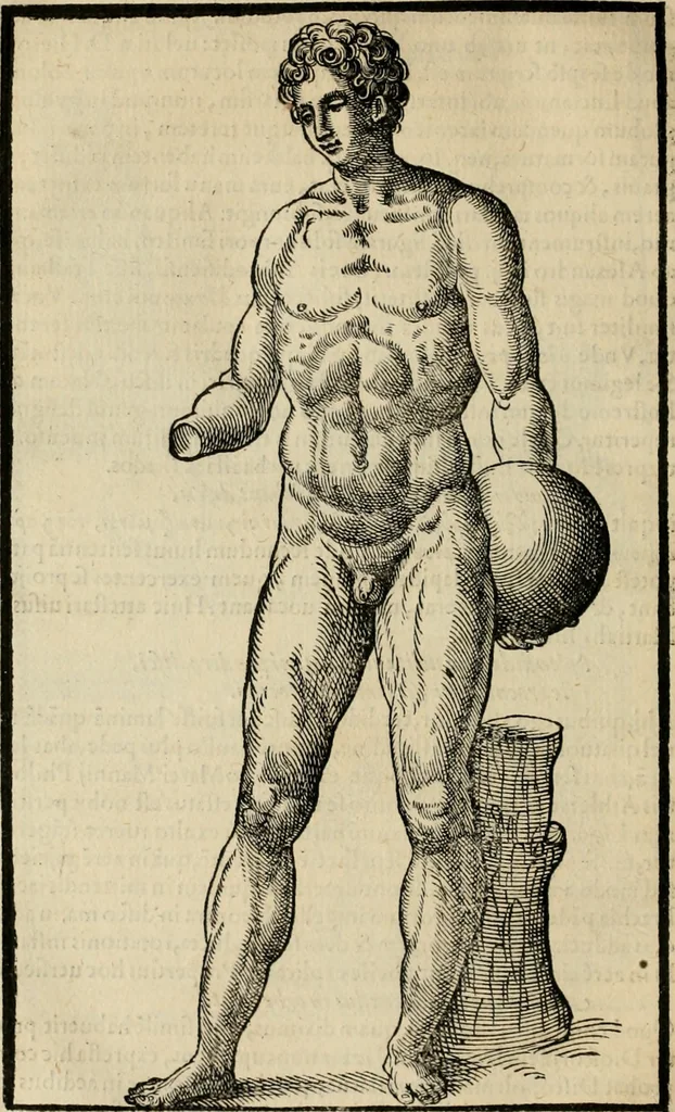 An illustration from Hieronymi Mercvrialis De arte gymnastica libri sex : in quibus exercitationum omnium vetustarum genera, loca, modi, facultates, & quidquid deniq. ad corporis humani exercitationes pertinet, diligenter explicatur .., 1573, leaf 143