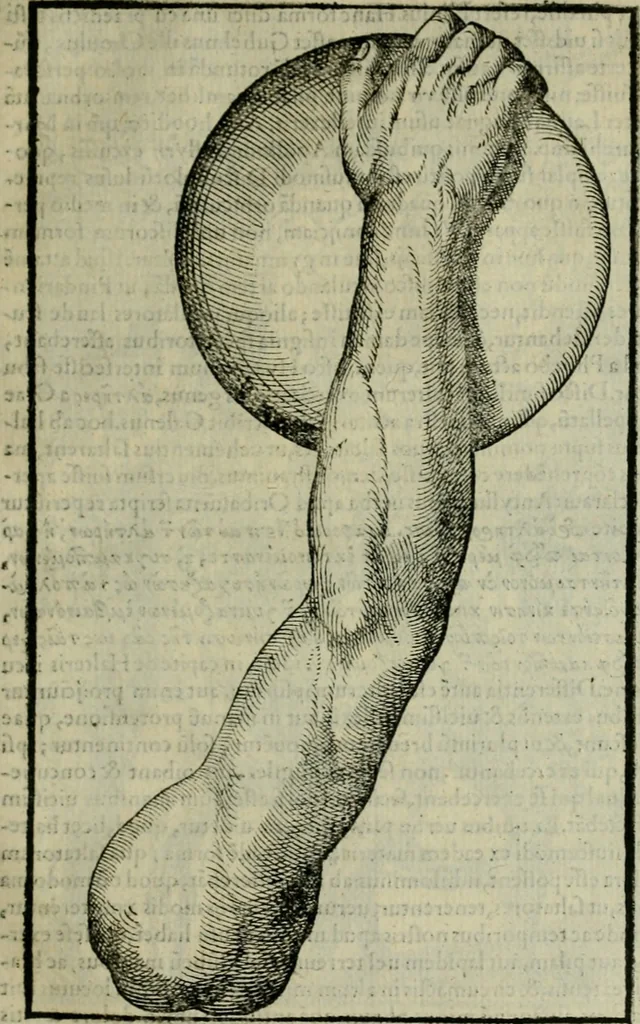 An illustration from Hieronymi Mercvrialis De arte gymnastica libri sex : in quibus exercitationum omnium vetustarum genera, loca, modi, facultates, & quidquid deniq. ad corporis humani exercitationes pertinet, diligenter explicatur .., 1573, leaf 144