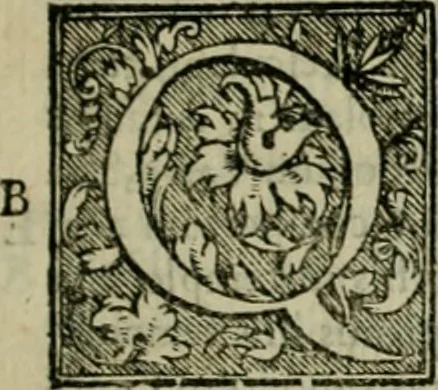 An illustration from Hieronymi Mercvrialis De arte gymnastica libri sex : in quibus exercitationum omnium vetustarum genera, loca, modi, facultates, & quidquid deniq. ad corporis humani exercitationes pertinet, diligenter explicatur .., 1573, leaf 16