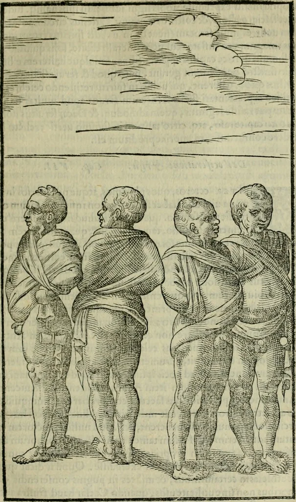 An illustration from Hieronymi Mercvrialis De arte gymnastica libri sex : in quibus exercitationum omnium vetustarum genera, loca, modi, facultates, & quidquid deniq. ad corporis humani exercitationes pertinet, diligenter explicatur .., 1573, leaf 174