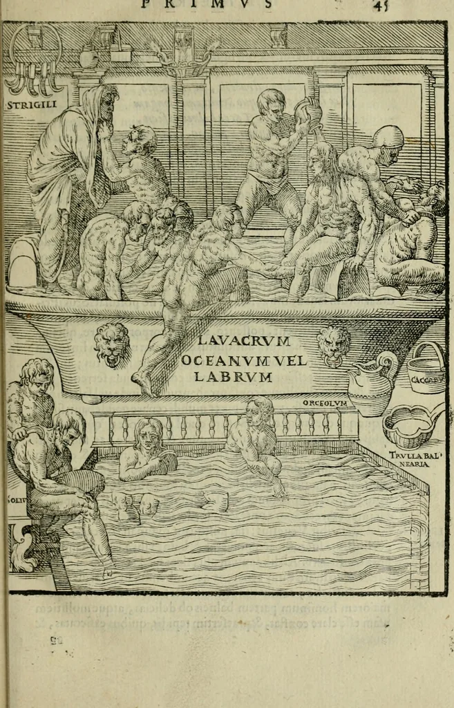 An illustration from Hieronymi Mercvrialis De arte gymnastica libri sex : in quibus exercitationum omnium vetustarum genera, loca, modi, facultates, & quidquid deniq. ad corporis humani exercitationes pertinet, diligenter explicatur .., 1573, leaf 60