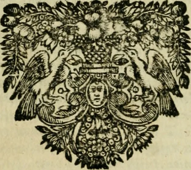 An illustration from Hieronymi Stridoniensis Epistolae selectae et in libros tres distributae. Opera Petri Canisij theologi. Nunc denuò ad exemplar Mariani Victorij Reatini, episcopi amerinin, emendata, argumentisque illustrata. Cum rerum & verborum indice locupletissimo, 1687, leaf 19