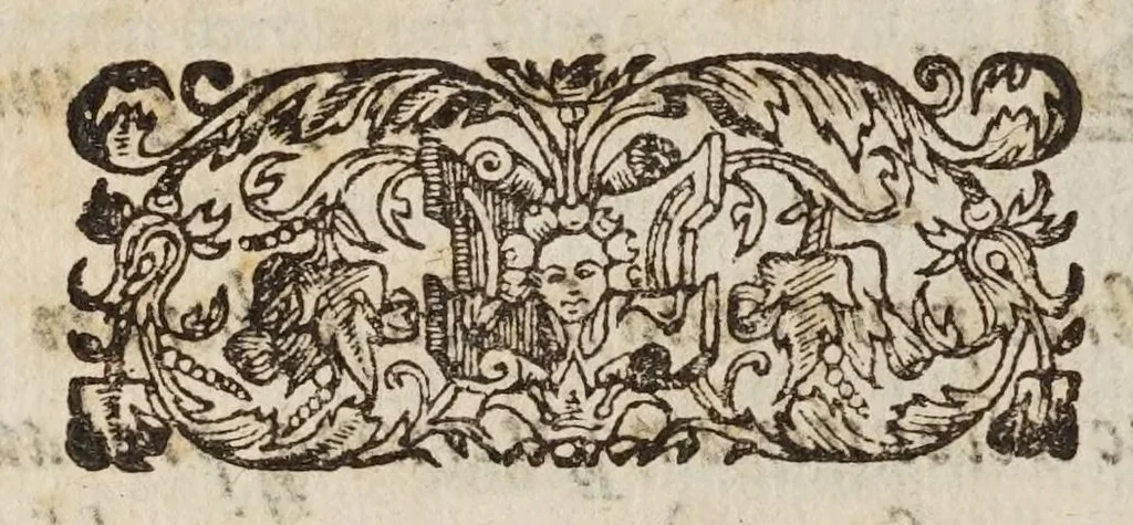 An illustration from Hieronymvs Borrivs ... De motu grauium, & leuium, 1576, leaf 20
