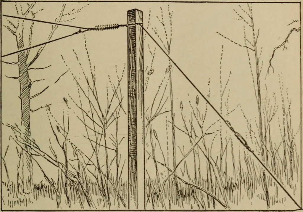 An illustration from High frequency apparatus, design, construction and practical application; a practical treatise for electrical engineers, electricans, physicians, students and experimenters, 1920, leaf 212