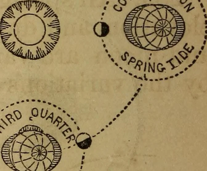 An illustration from A high-school astronomy: in which the descriptive, physical, and practical are combined .., 1859, leaf 139