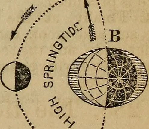 An illustration from A high-school astronomy: in which the descriptive, physical, and practical are combined .., 1859, leaf 140