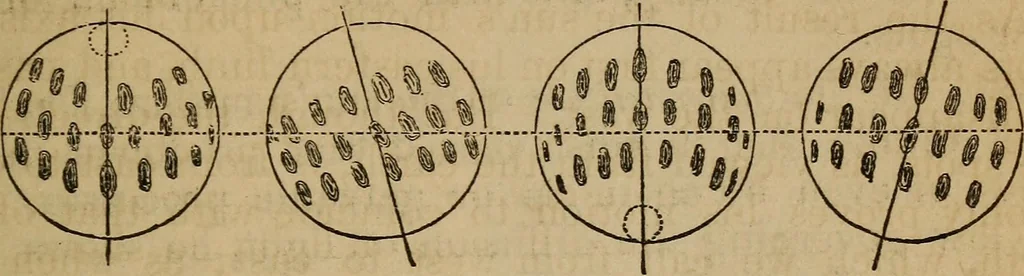 An illustration from A high-school astronomy: in which the descriptive, physical, and practical are combined .., 1859, leaf 156