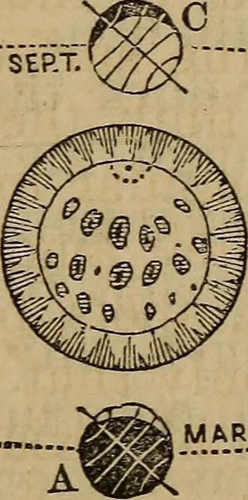 An illustration from A high-school astronomy: in which the descriptive, physical, and practical are combined .., 1859, leaf 156