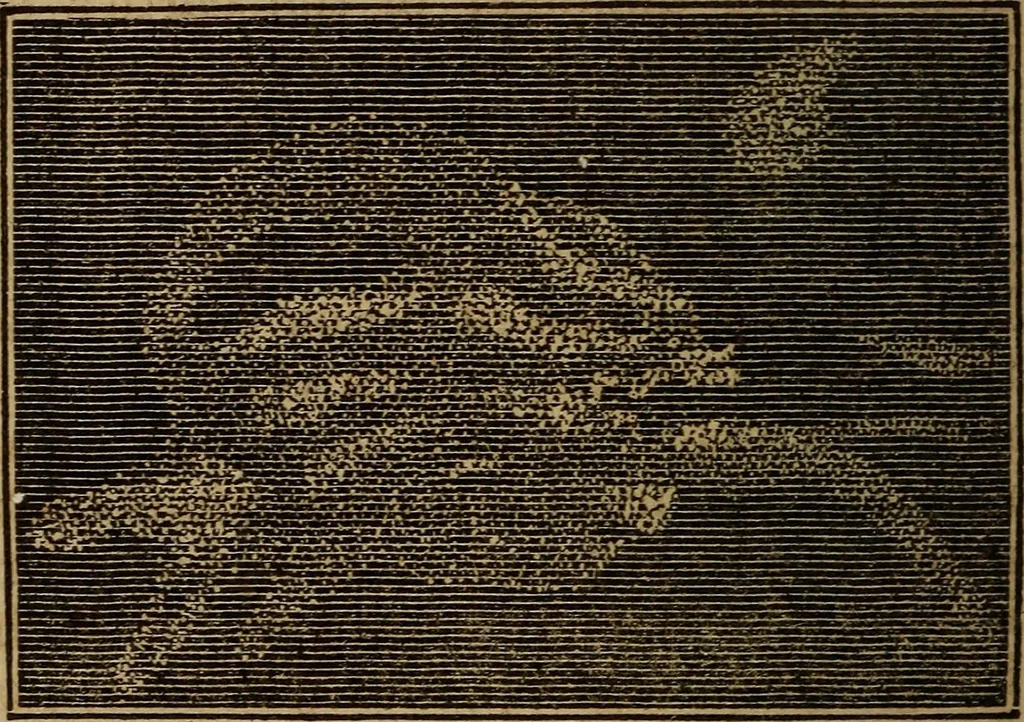 An illustration from A high-school astronomy: in which the descriptive, physical, and practical are combined .., 1859, leaf 209