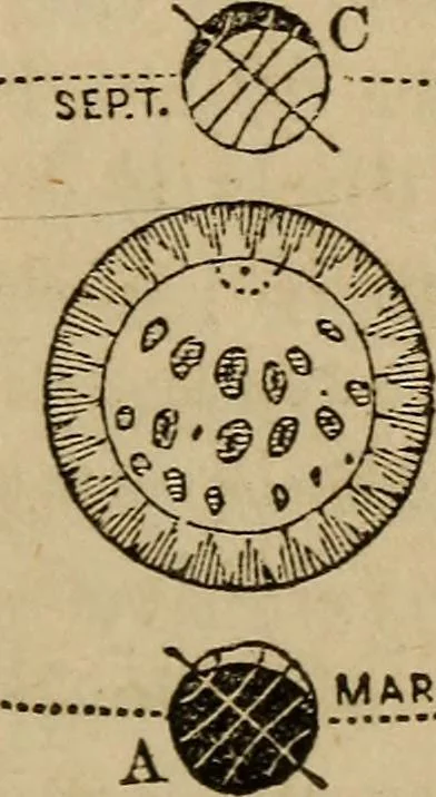 An illustration from A high-school astronomy: in which the descriptive, physical, and practical are combined .., 1853, leaf 155