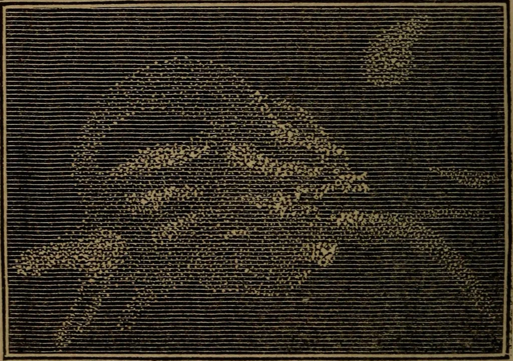 An illustration from A high-school astronomy: in which the descriptive, physical, and practical are combined .., 1853, leaf 208
