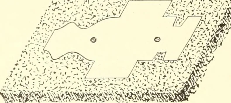 An illustration from High school manual training course in woodwork, including cost of equipment and supplies and studies on trees and wood, 1905, leaf 186