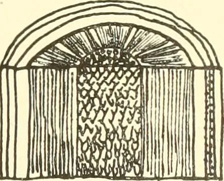 An illustration from High school manual training course in woodwork, including cost of equipment and supplies and studies on trees and wood, 1905, leaf 29