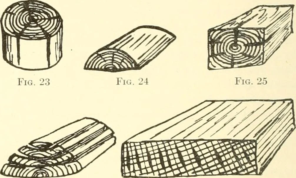 An illustration from High school manual training course in woodwork, including cost of equipment and supplies and studies on trees and wood, 1905, leaf 34