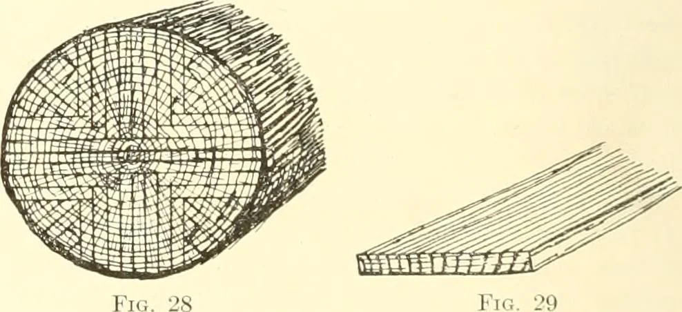 An illustration from High school manual training course in woodwork, including cost of equipment and supplies and studies on trees and wood, 1905, leaf 36