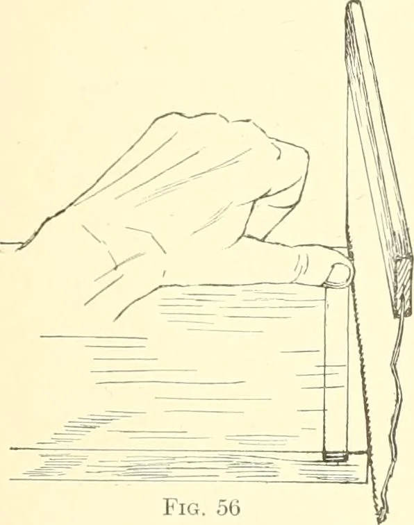An illustration from High school manual training course in woodwork, including cost of equipment and supplies and studies on trees and wood, 1905, leaf 49