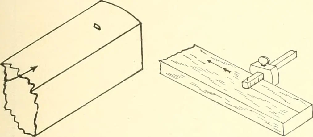 An illustration from High school manual training course in woodwork, including cost of equipment and supplies and studies on trees and wood, 1905, leaf 51