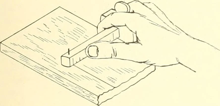 An illustration from High school manual training course in woodwork, including cost of equipment and supplies and studies on trees and wood, 1905, leaf 51
