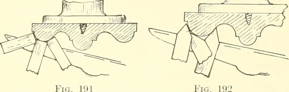 An illustration from High school manual training course in woodwork, including cost of equipment and supplies and studies on trees and wood, 1905, leaf 93