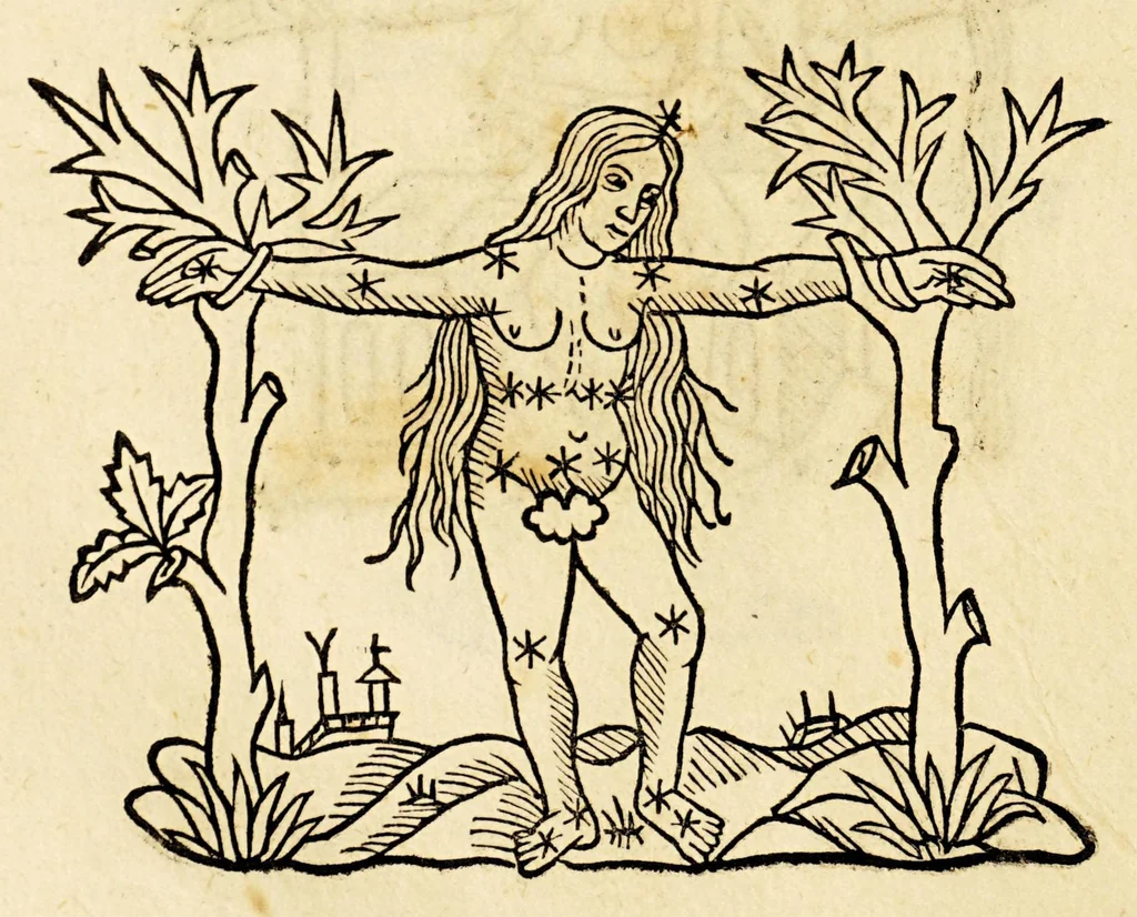 An illustration from Higinius de stellis, 1513, leaf 54