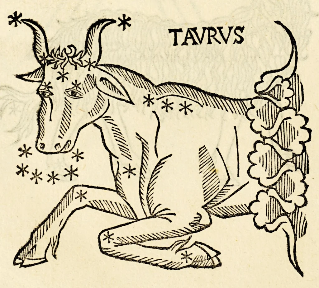 An illustration from Higinius de stellis, 1513, leaf 64